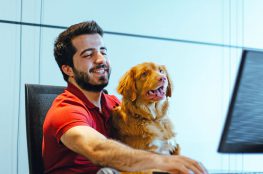 Man works on computer with dog.