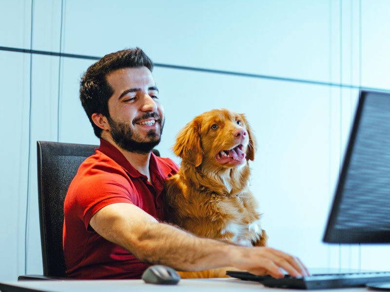 Man works on computer with dog.