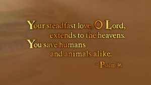 Your steadfast love, O Lord, extends to the heavens You save humans and animals alike. Psalm 36